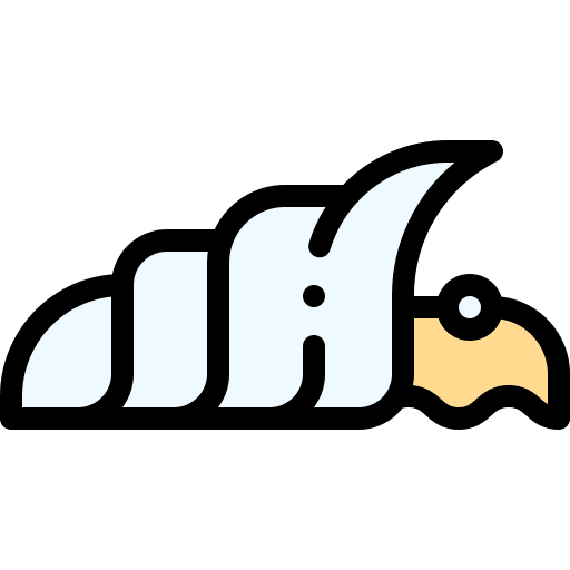 Shell echinoderm aquarium aquatic icon Shell echinoderm aquarium aquatic icon