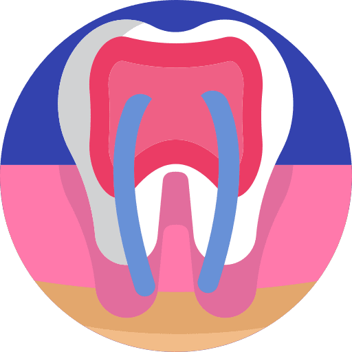 Premolar premolar molar nerve icon