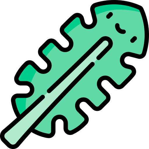 Leaf palm tree nature palm icon