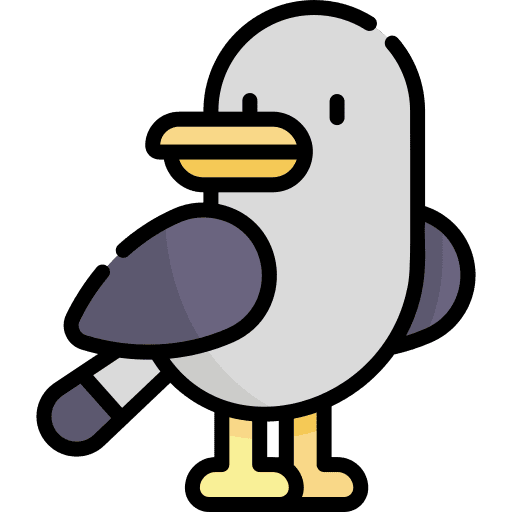 Seagull nature feather seagull icon