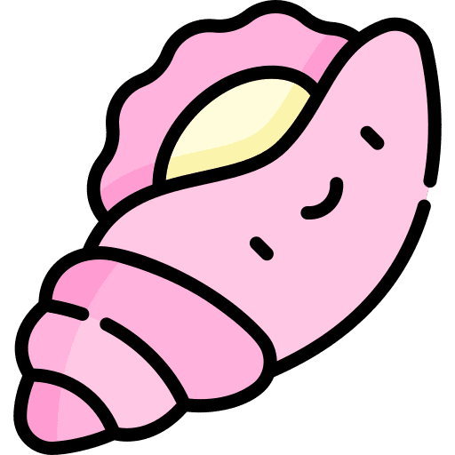 Shell aquatic zoo shell icon