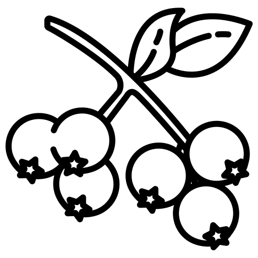 Berries vegetarian organic leaf icon