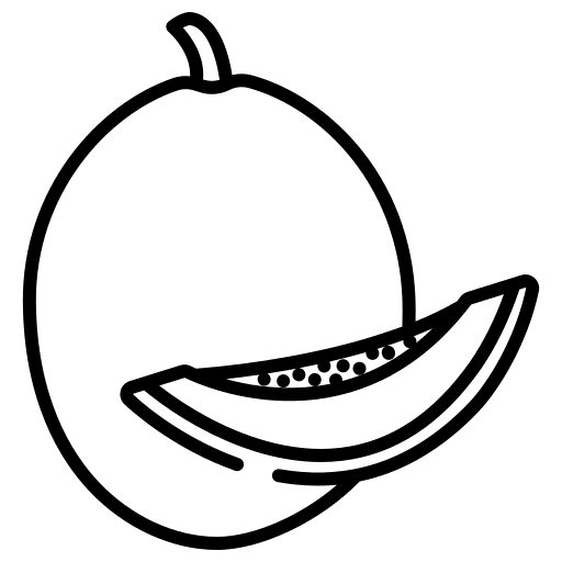 Cantaloupe fruit water melon vegan icon Cantaloupe fruit water melon vegan icon