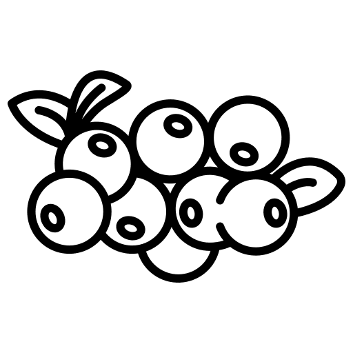 Cranberry fruits healthy food nature icon