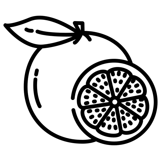 Grapefruit healthy food vegan diet icon Grapefruit healthy food vegan diet icon