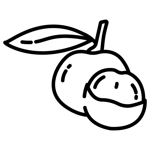 Longan healthy food food and restaurant longan icon Longan healthy food food and restaurant longan icon