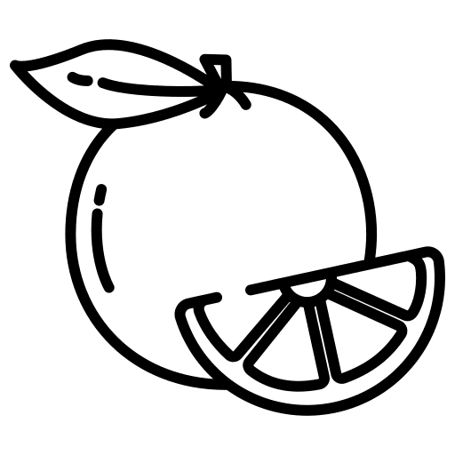 Orange citrus fruit organic icon Orange citrus fruit organic icon