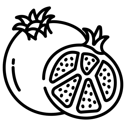 Pomegranate vegetarian pomegranate diet icon