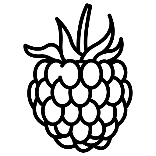 Raspberry raspberry vegan food and restaurant icon