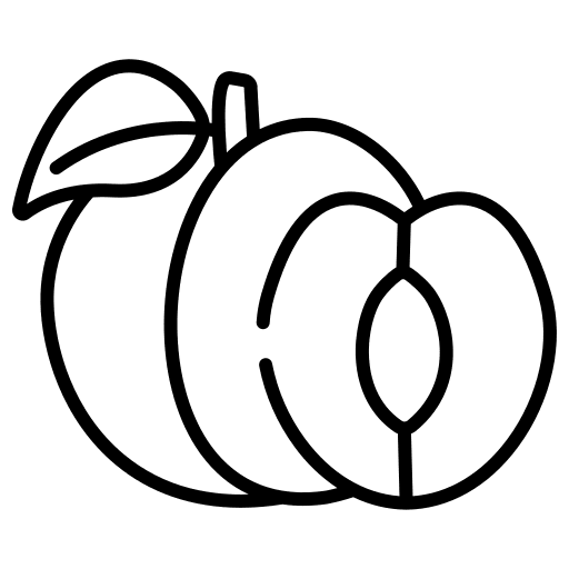 Apricot organic apricot vitamins icon Apricot organic apricot vitamins icon