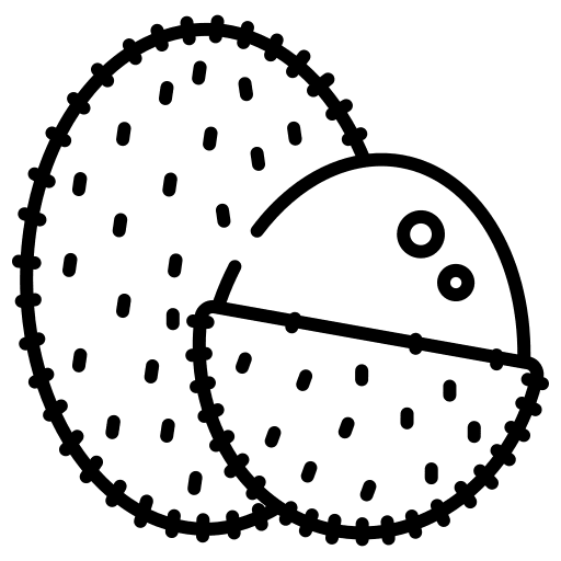 Lychee lychee fruit food and restaurant icon Lychee lychee fruit food and restaurant icon