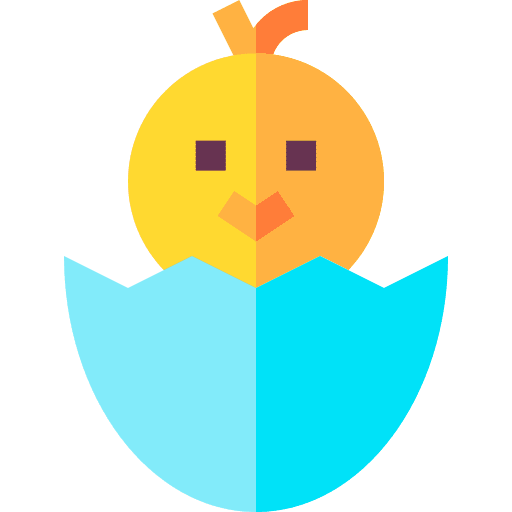 Chick chick egg ornithology icon