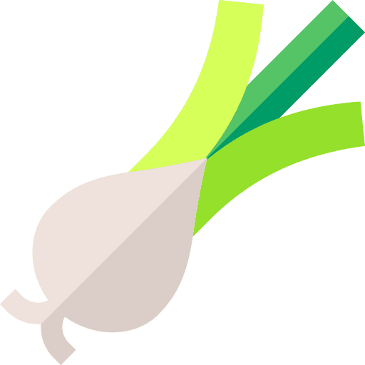 Onion spring onion onion food icon