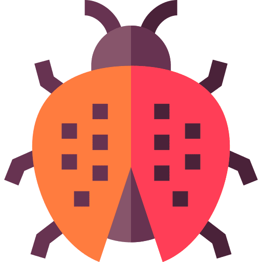 Ladybug bug animals animal kingdom icon