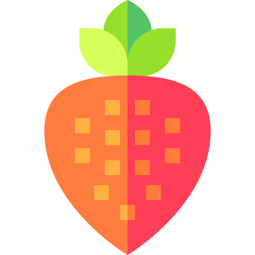 Strawberry healthy food vegan viburnum fruit icon