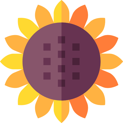 Sunflower blossom nature botanical icon