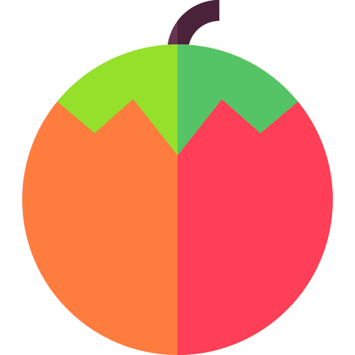 Tomato diet healthy food fruit icon