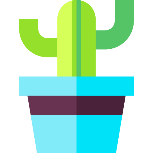 Cactus decoration garden plant icon