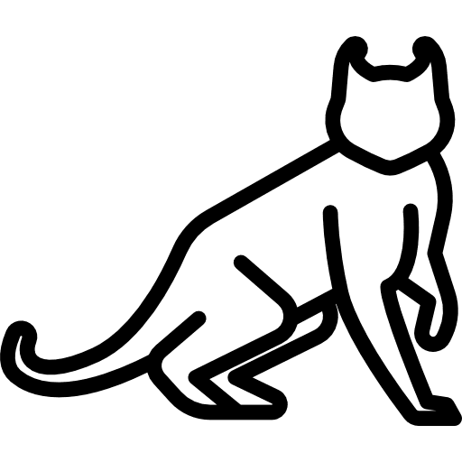 American curl cat animals animal feline icon American curl cat animals animal feline icon