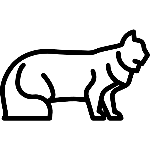 Norwegian forest cat animals pet feline icon Norwegian forest cat animals pet feline icon