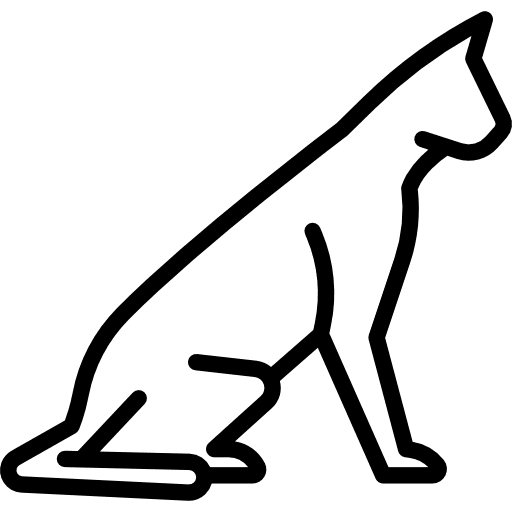 Savannah cat kitty feline pet icon Savannah cat kitty feline pet icon