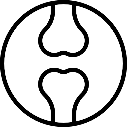 Femur bones joint body parts icon