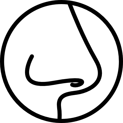 Nose medical smell nose icon