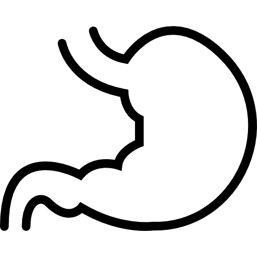 Stomach body parts anatomy medical icon