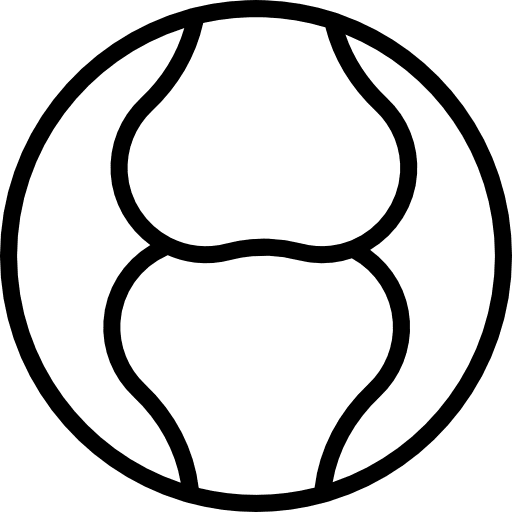 Articulation body parts medical joint icon