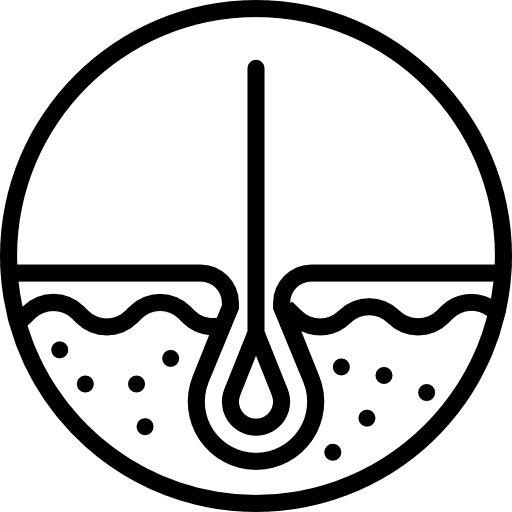 Epidermis medical hair dermathology icon