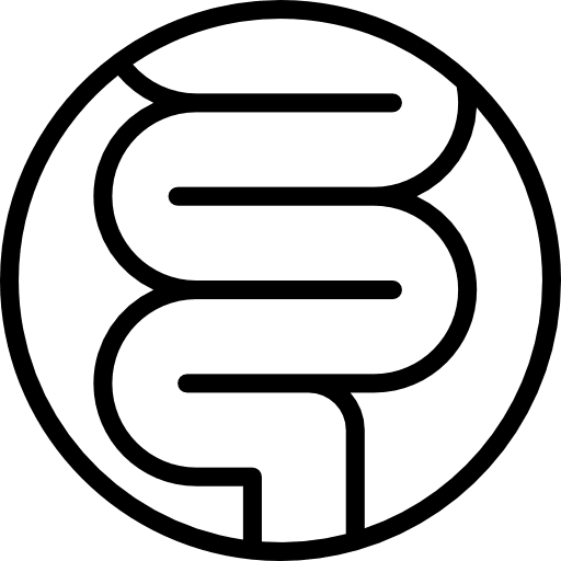 Intestines intestines medical human body icon