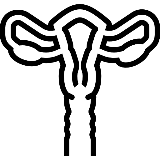 Uterus ovary uterus ovaries icon