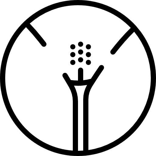 Vagina medical anatomy female organs icon