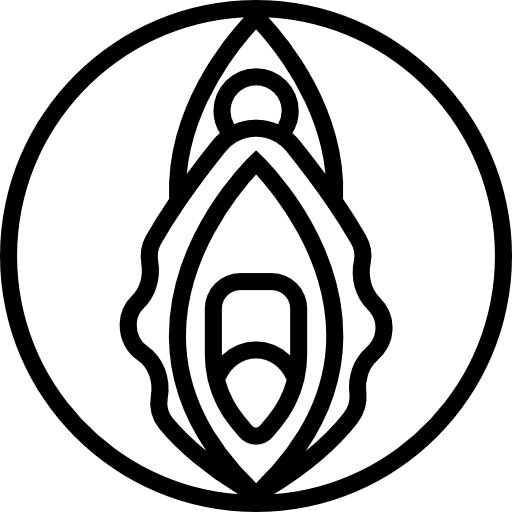 Vagina medical gynecology female organs icon