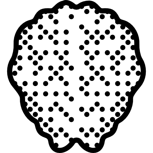 Brain body organ human brain medical icon