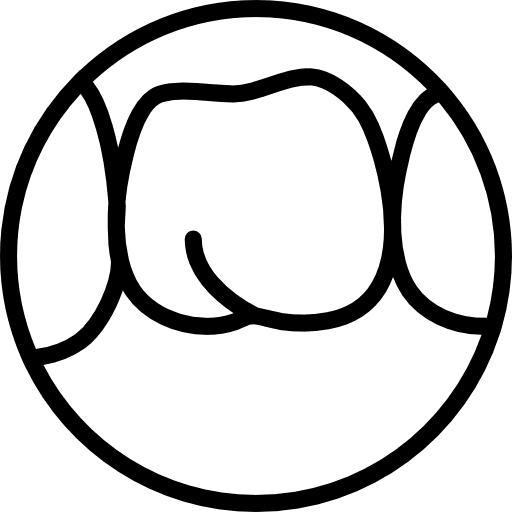Molar dental mouth molar icon