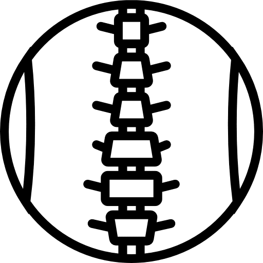 Spinal column medical chiropractic anatomy icon