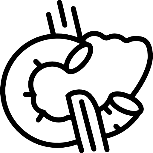 Pancreas body part anatomy pancreas icon