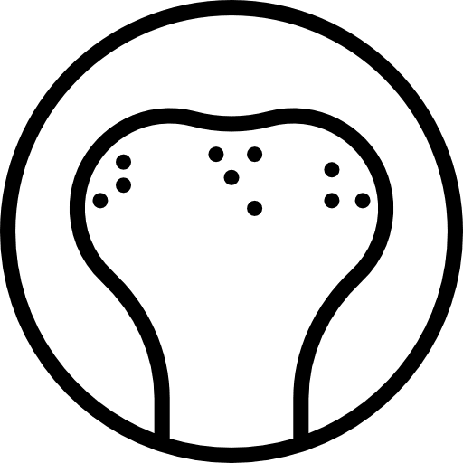 Bone anatomy bone body parts icon