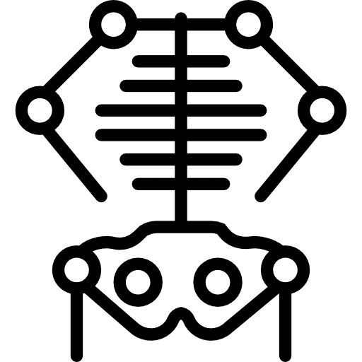 Skeleton body parts skeleton anatomy icon