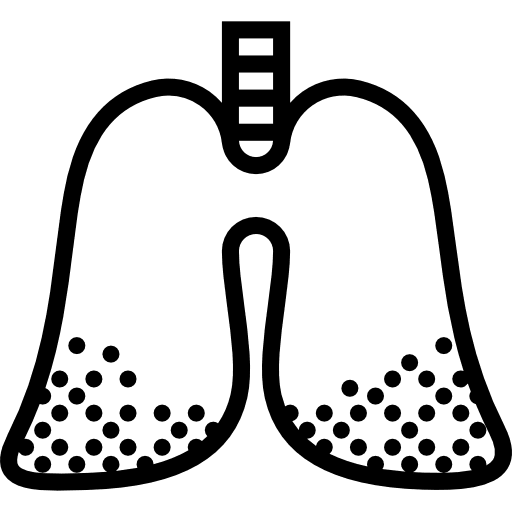 Lungs medical breath anatomy icon
