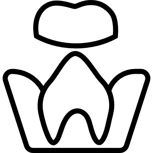 Molar medical dental molar icon