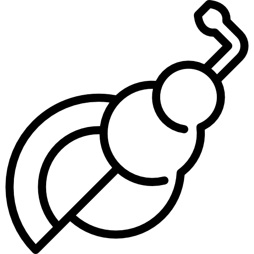 Conch conch wind instrument music and multimedia icon