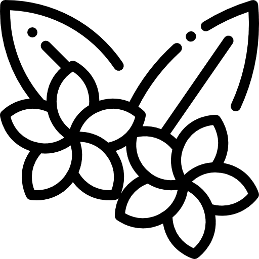 Flower cultures flower nature icon