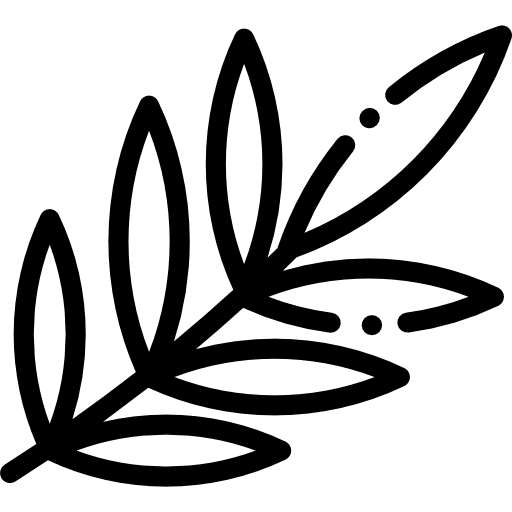 Leaf leaf palm leaf nature icon