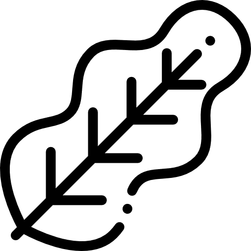 Leaf nature leaf weather icon Leaf nature leaf weather icon