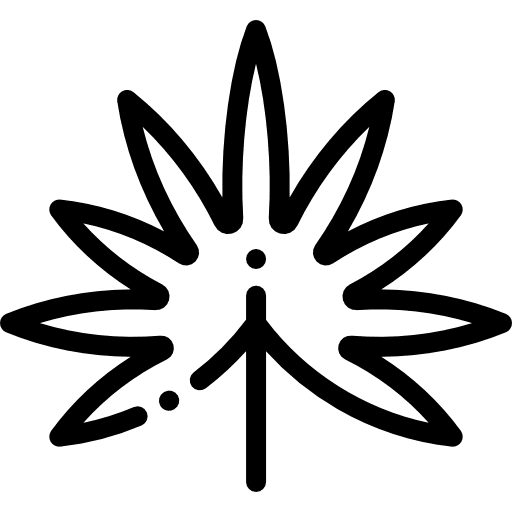 Palm tropical leaves beach icon