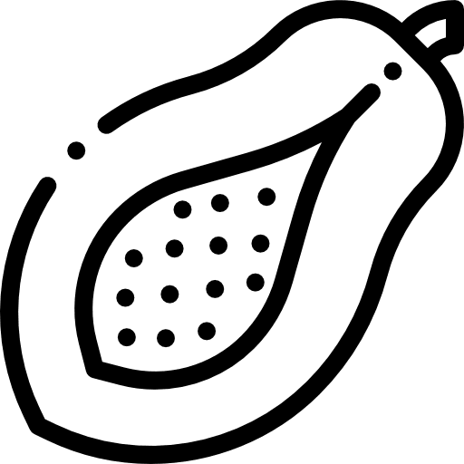 Papaya organic food and restaurant vegan icon