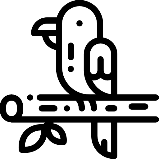 Parrot parrot animal animals icon Parrot parrot animal animals icon