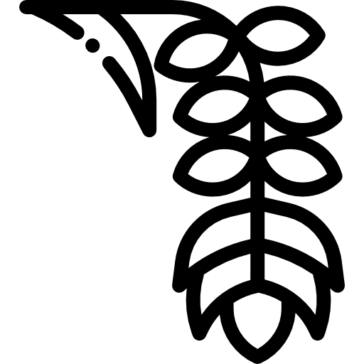 Tropical flower botanical nature icon Tropical flower botanical nature icon